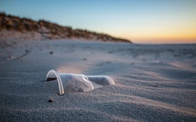 Plastic-Free Beaches: How You Can Help Keep Our Oceans Clean