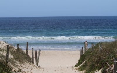 Unveiling Hidden Treasures: The Best Secret Beaches in New South Wales, Australia
